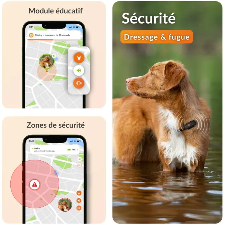 WEENECT Traceur GPS pour chien coloris noir