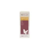 VERSELE LAGA Vitamines stimulantes liquides pour le chant des oiseaux exotiques Canto-Vit - 30 ml
